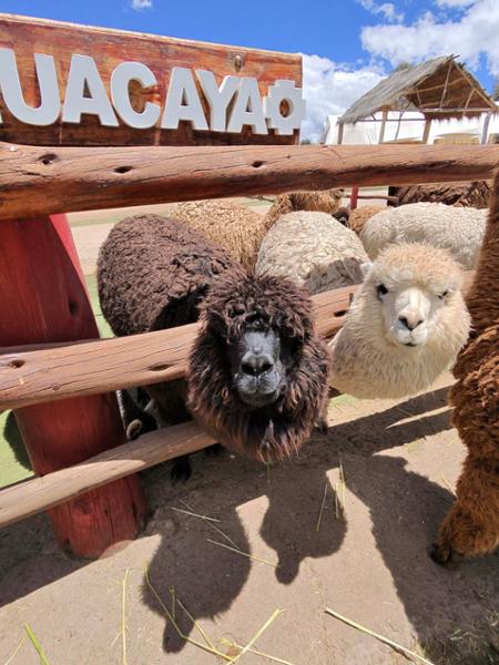 The best way to see Peru