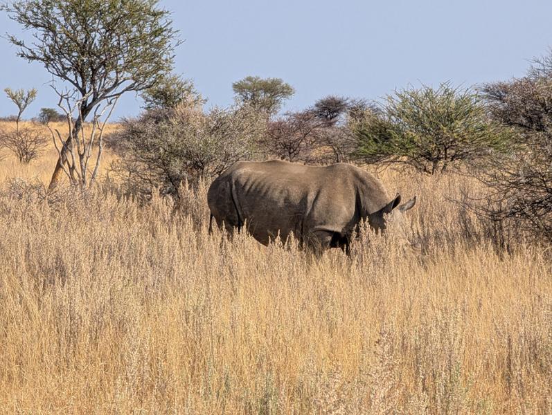 Upgraded - Highlights of Namibia