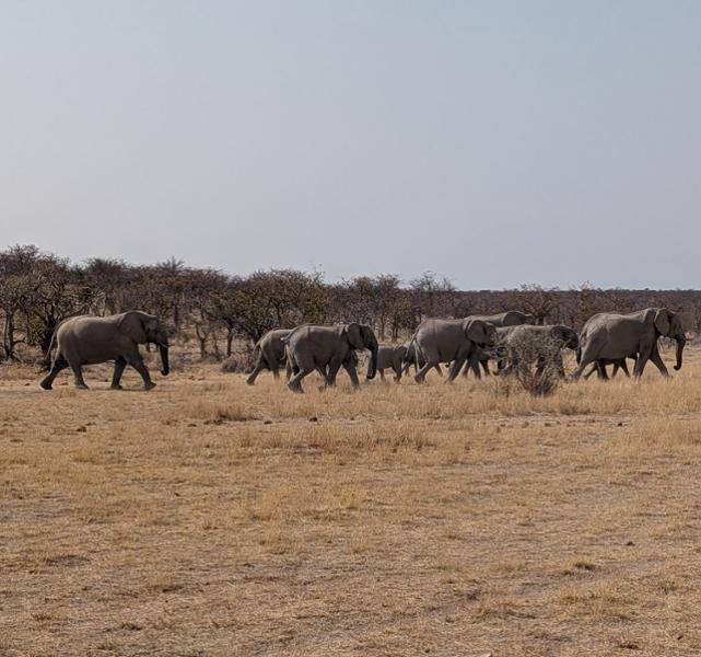 Upgraded - Highlights of Namibia