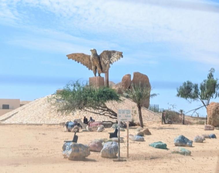 Best of Tunisia