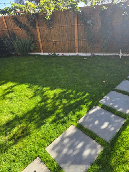 Lawn Turf from £2.59 per 1m2 - Garden Turf - Fresh Lawn Turf Rolls - Buy 10 - 1700+ Online