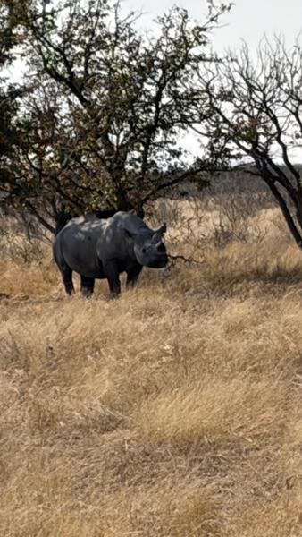 Namibia Lodge Safari