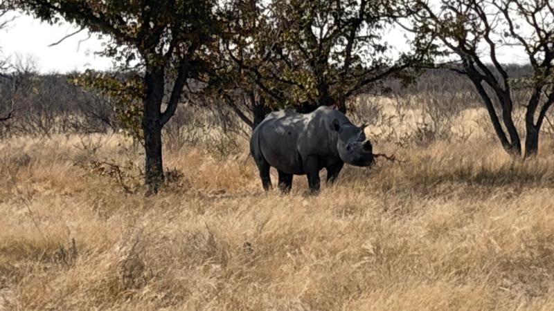 Namibia Lodge Safari
