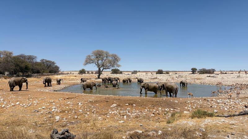 Namibia Lodge Safari
