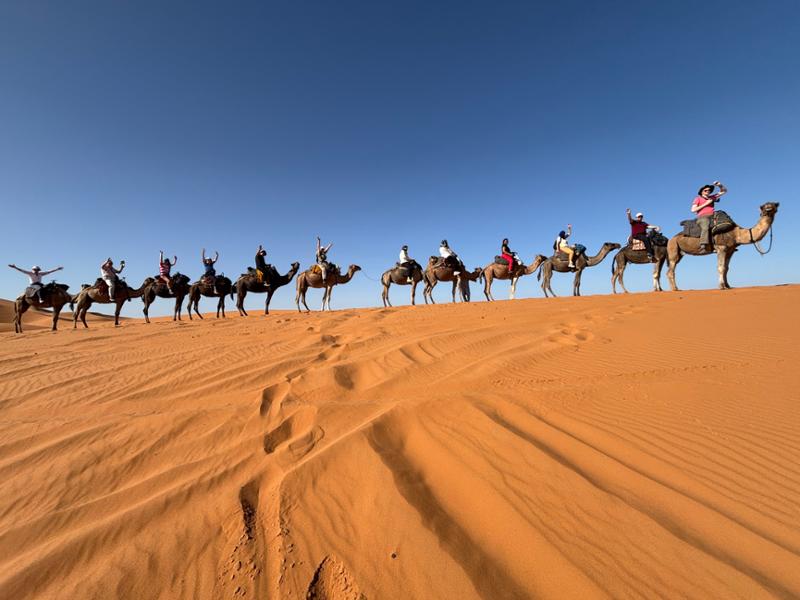 Highlights of Morocco