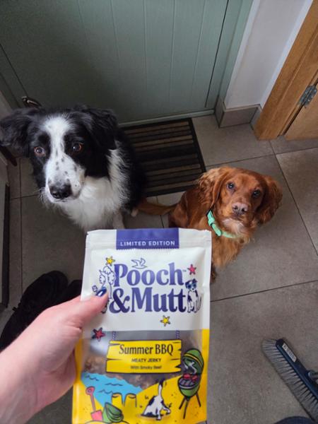 Great dog treats