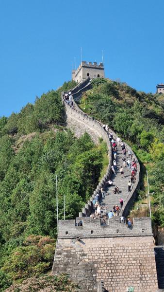 China Delights