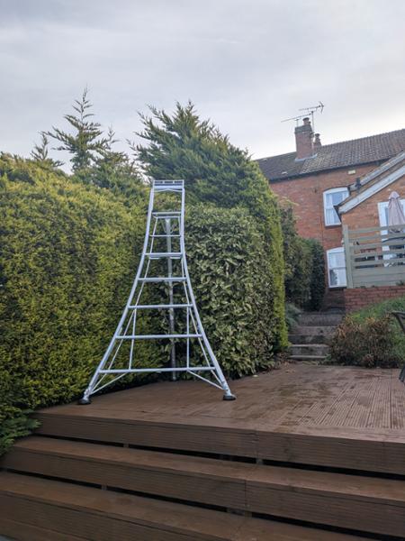 Super Ladders - Highly recommend