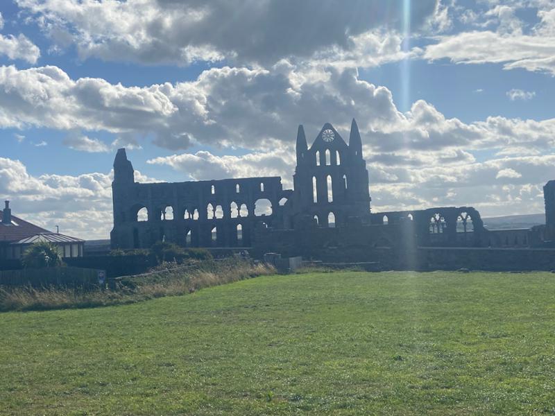 Gorgeous gentle guided walks