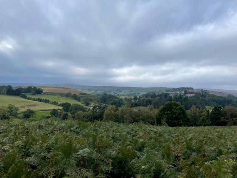 Thoroughly enjoyable gentle guided walking break.
