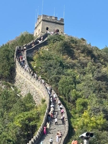 China Delights