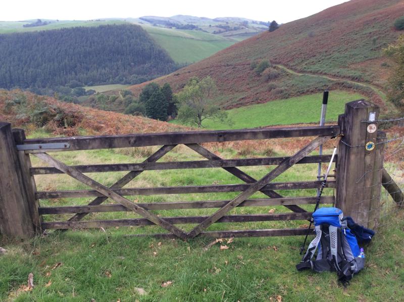 Glyndwr's Way - South Section