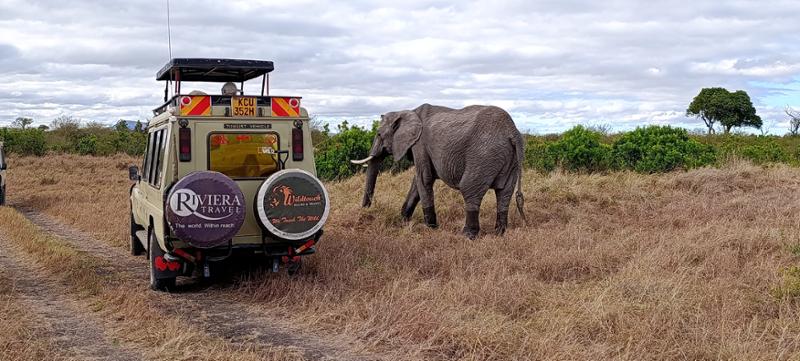 Kenya: Lake Nakuru & Maasai Mara Safari with Samburu extension
