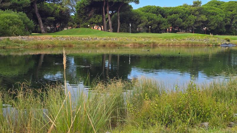 Fantactc golfbreak