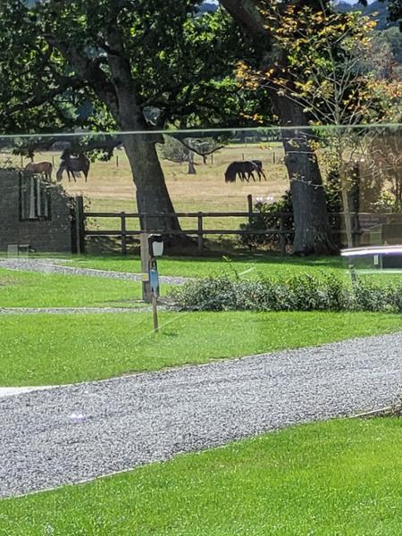 Green Hill Farm Holiday Village