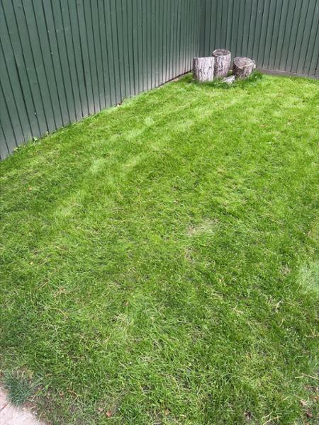 ECO: Clover Lawn-20kg