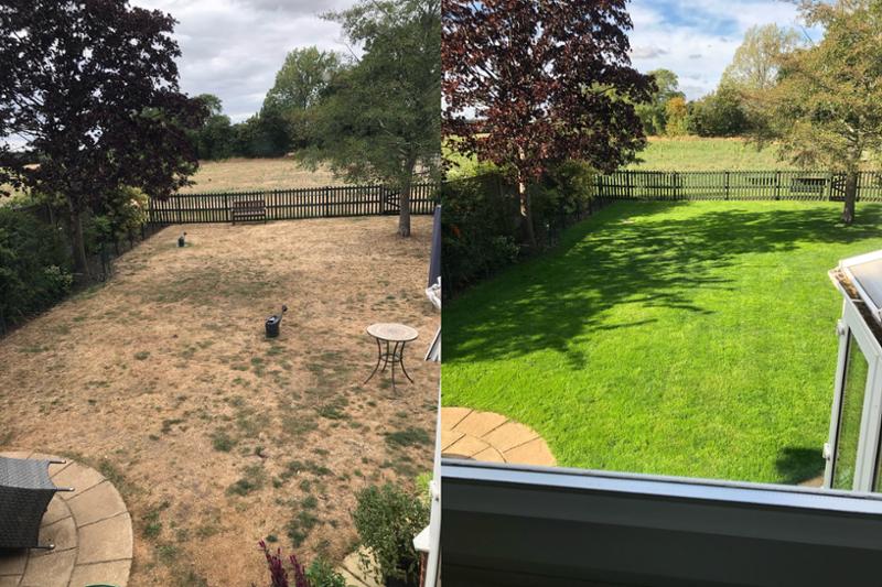 IMPRESS: Clay Master Lawn Seed-20kg