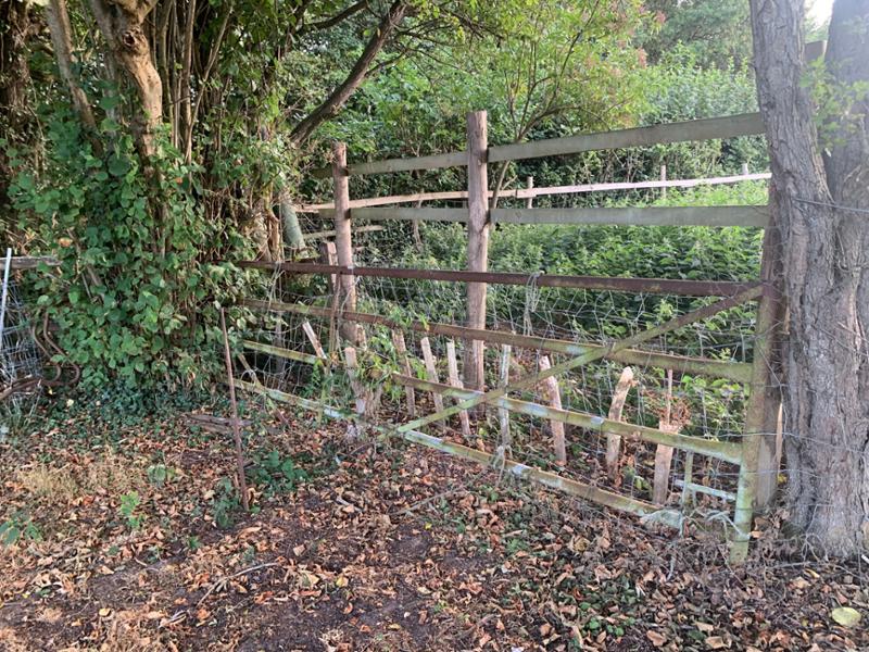 Steer clear of Hopes Grove Nursery
