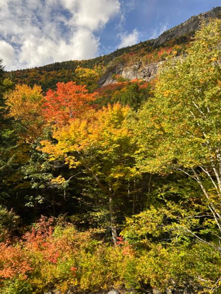 New England Leaf-Peeper Trek  2026