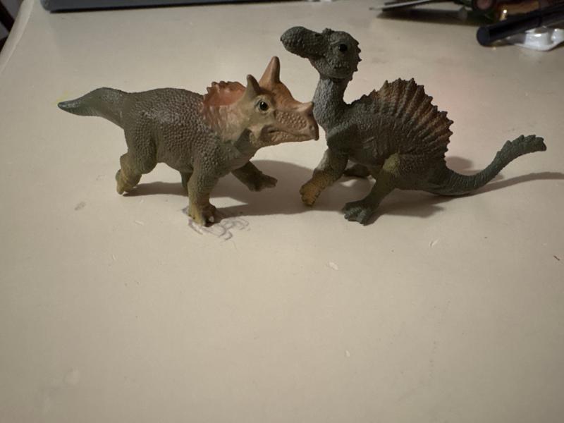 Great service and even better dinos! ❤️‍🩹