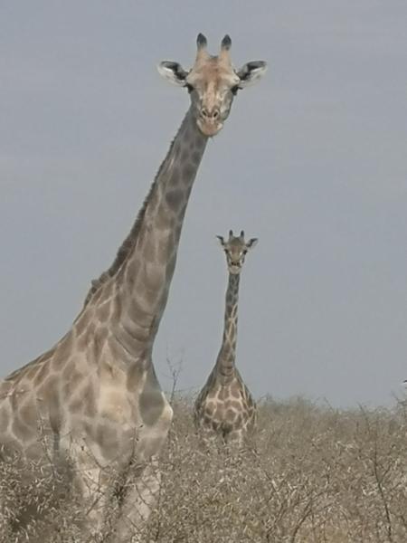 Namibia Adventure