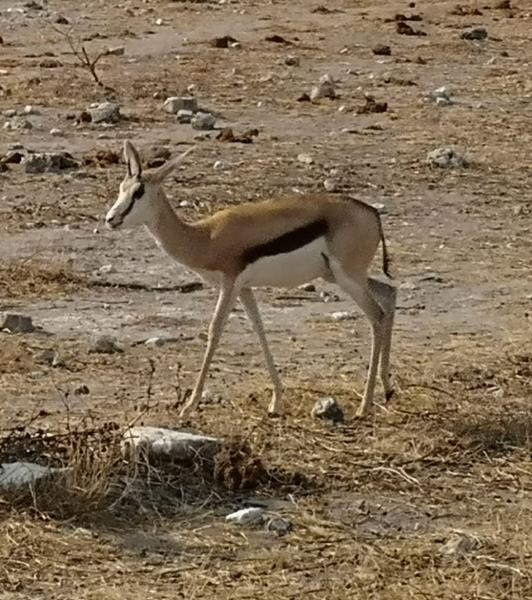 Namibia Adventure