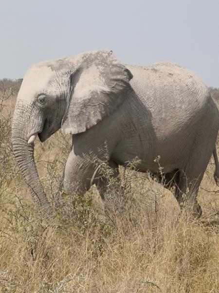 Namibia Adventure