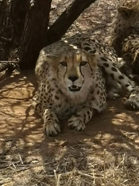 Namibia Adventure