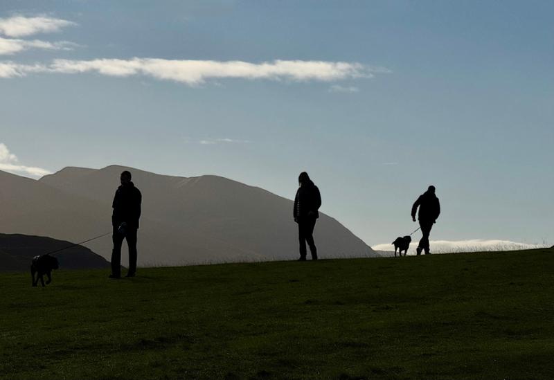 Phone Photography Weekend. Great value for money, highly recommended