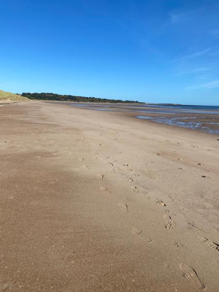 Northumberland 2026