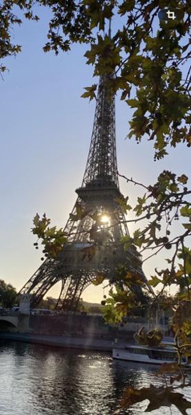 Gastronomy of the Seine