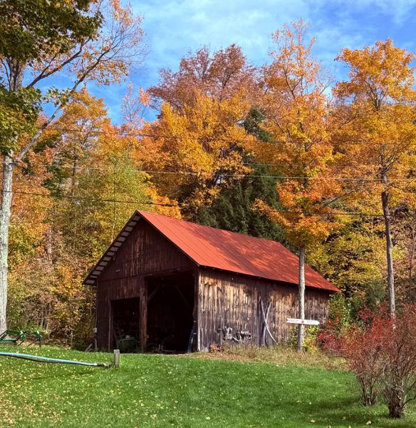 Fall Colors of New England