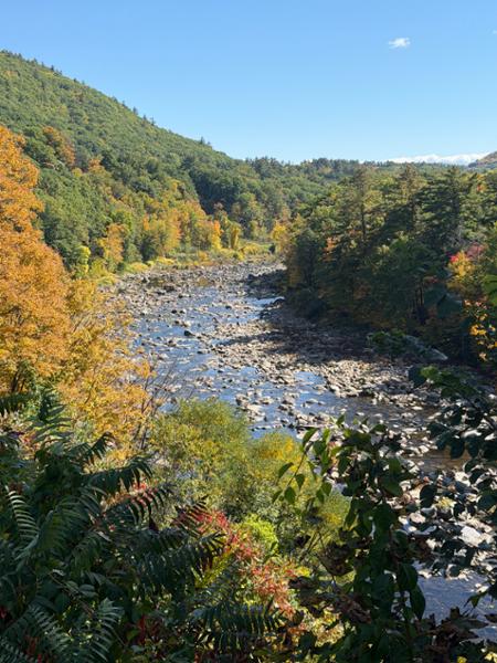 Fall Colors of New England