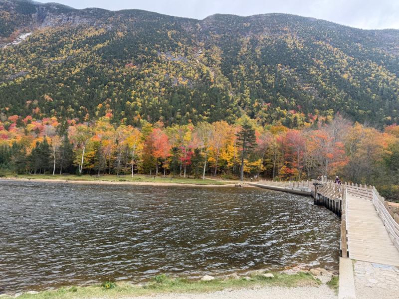 Fall Colors of New England
