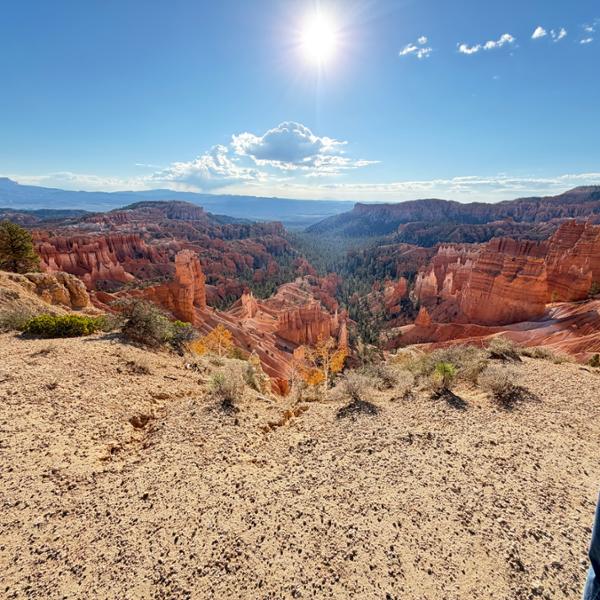 Canyon Country Showcase