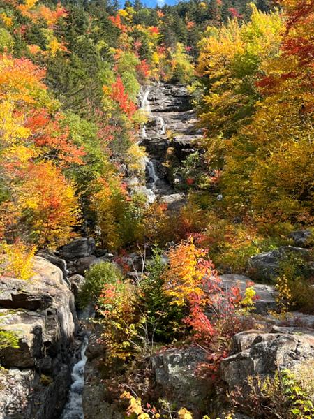 New Englands Fall Foliage