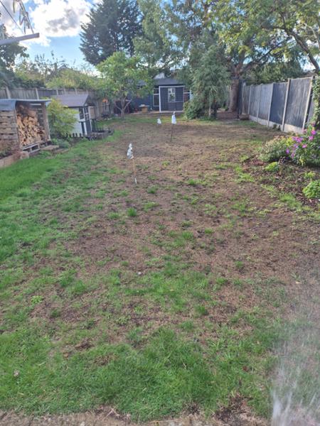 THRIVE: Sandy Soils 2KG