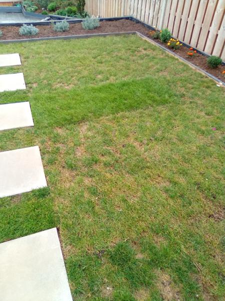 Great service but the turf was a let down in quality and thickness
