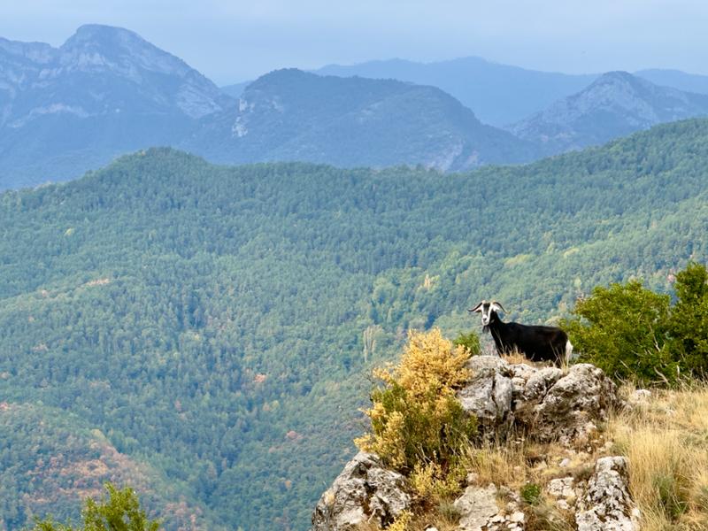 Northern Spain Signature Drive