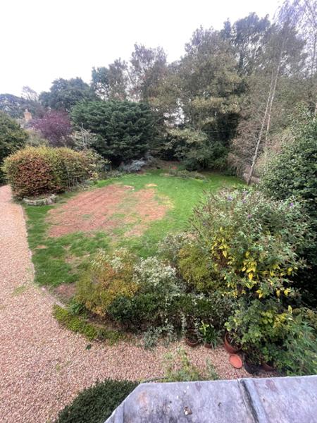IMPRESS: Clay Master Lawn Seed-20kg