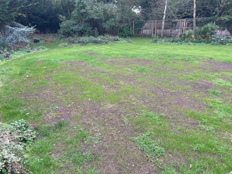 IMPRESS: Clay Master Lawn Seed-20kg