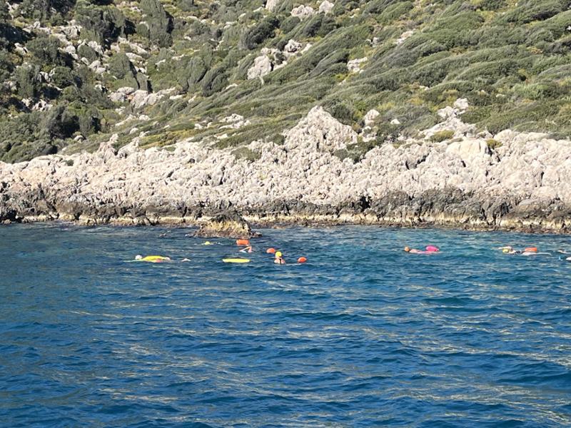 Will definitely recommend SwimQuest and book another holiday soon!
