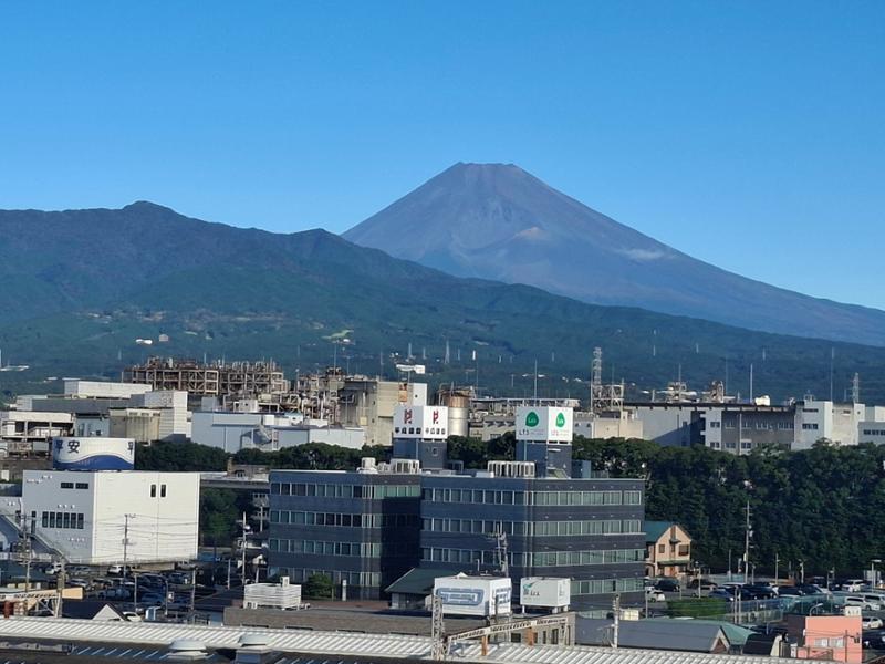 Japan Uncovered