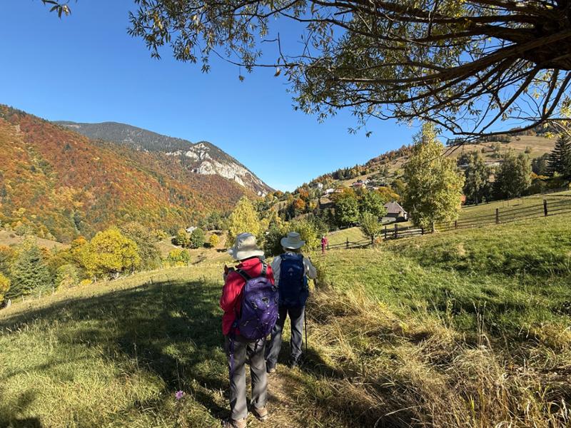 Autumn in Brašov