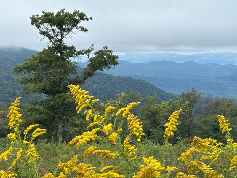 Eastern National Parks.. a must see adventure of fun!