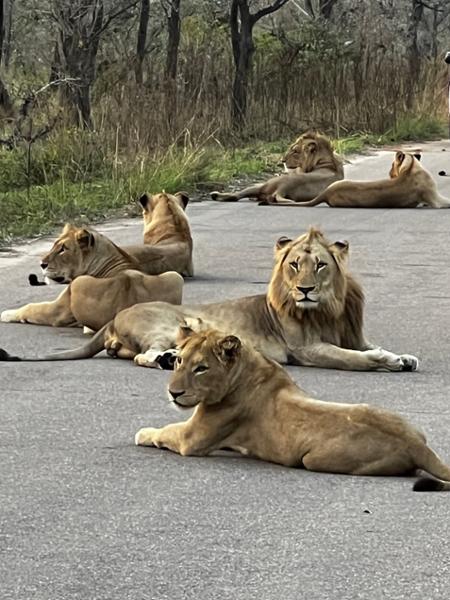 A trip of a lifetime!