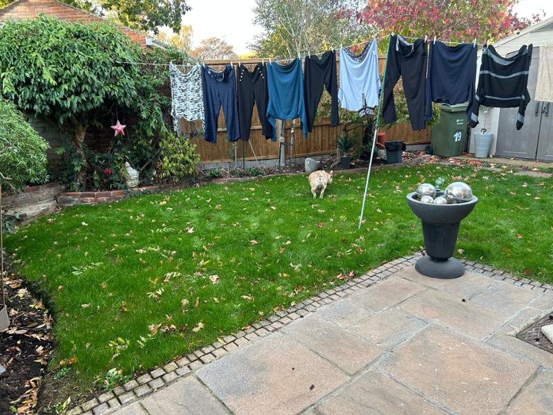 SUPERSTAR: Back Lawn 2KG