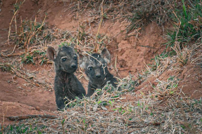 South Africa & Victoria Falls Tour