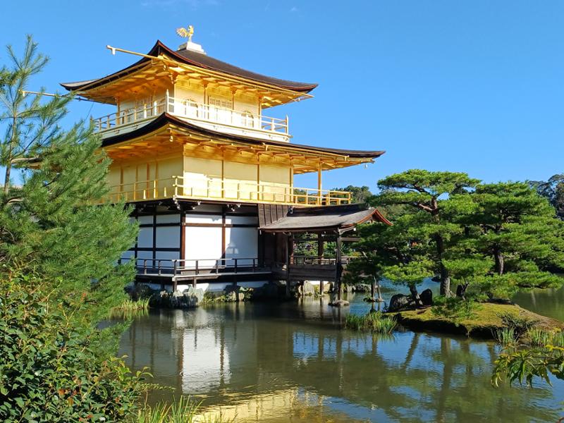 Japan Uncovered