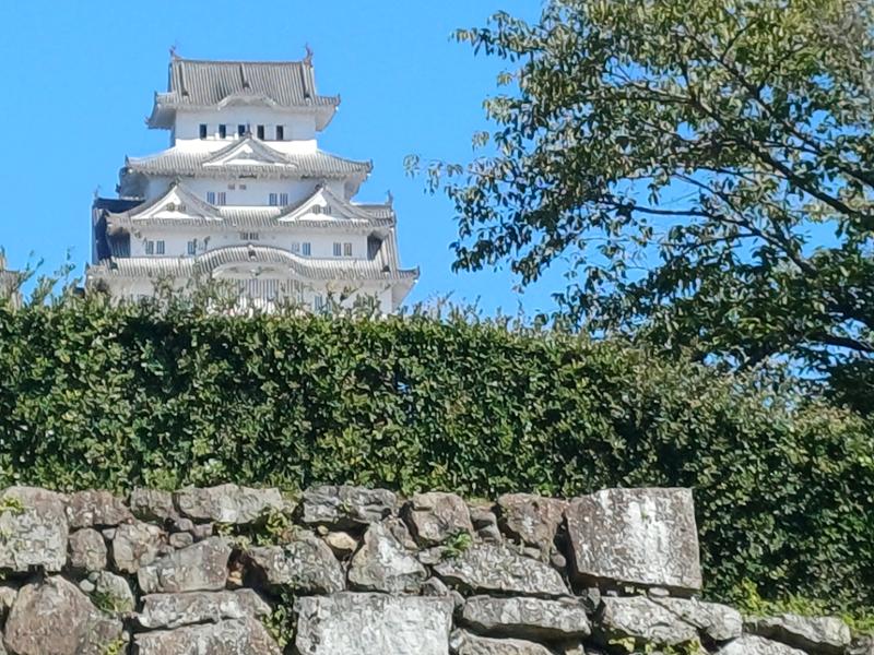 Japan Uncovered